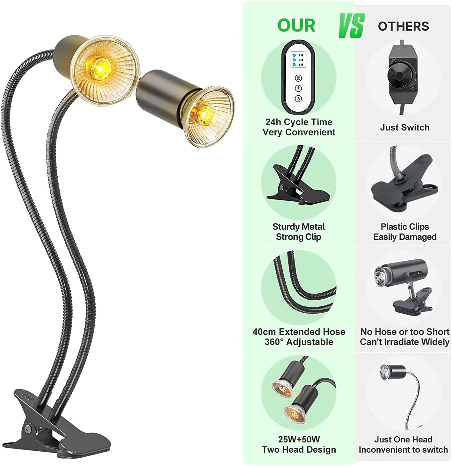 22978 tarantula eating