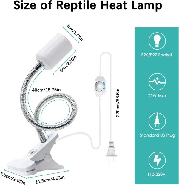 22978 tarantula molting