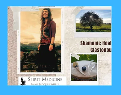 22990 tarantula transformation