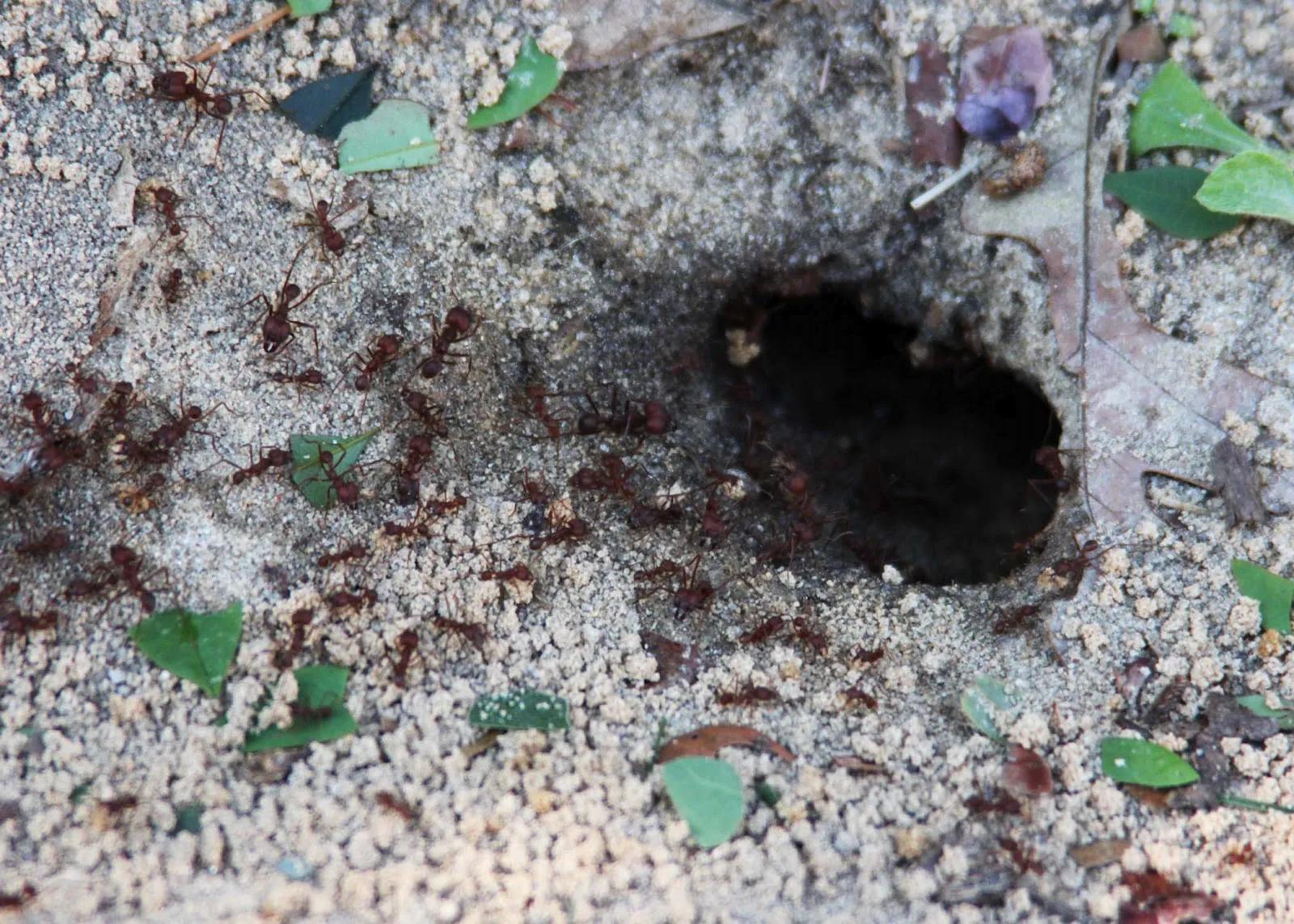 22995 clean enclosure