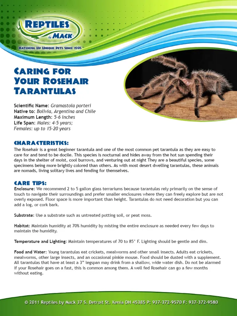 22998 albo tarantula enclosure