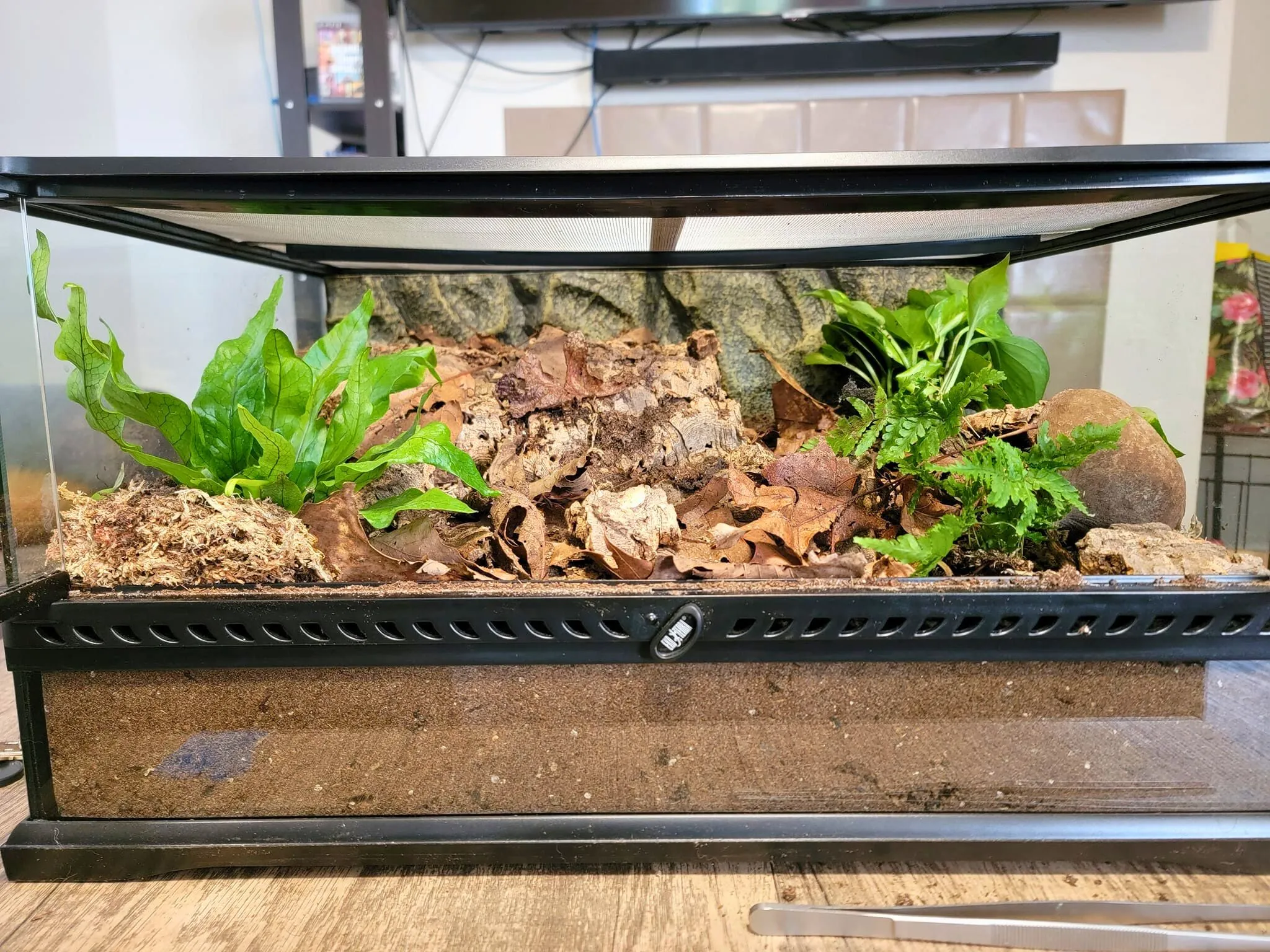 23003 tarantula enclosure build 3