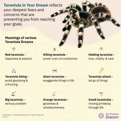 23007 tarantula dream overview