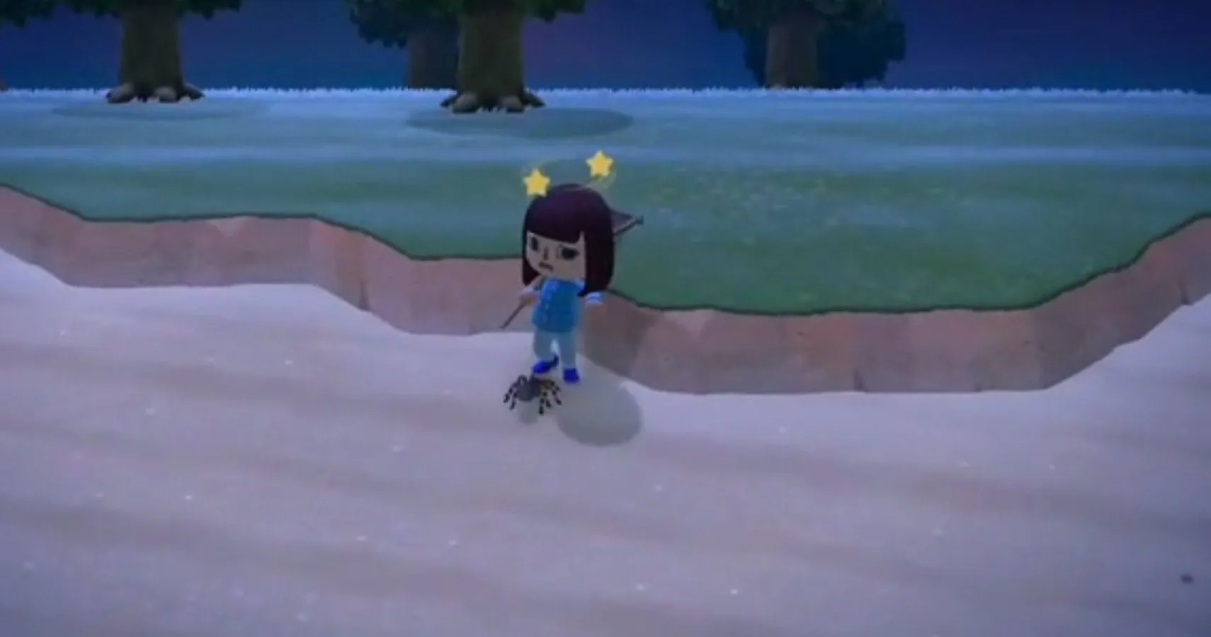 23012 tarantula catching tools