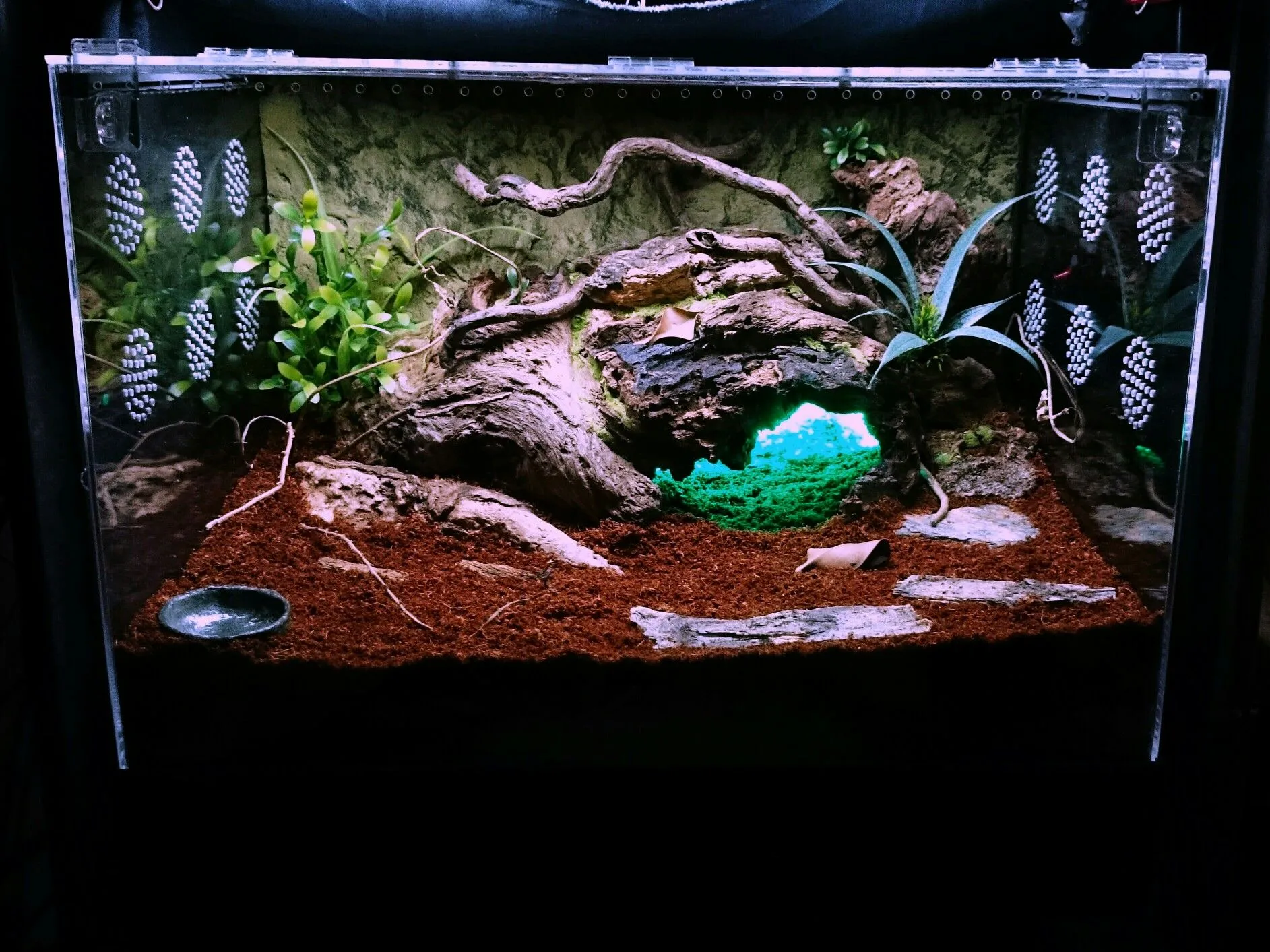 23016 tarantula enclosure maintenance