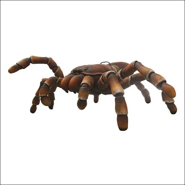 23019 realistic tarantula decoration texture