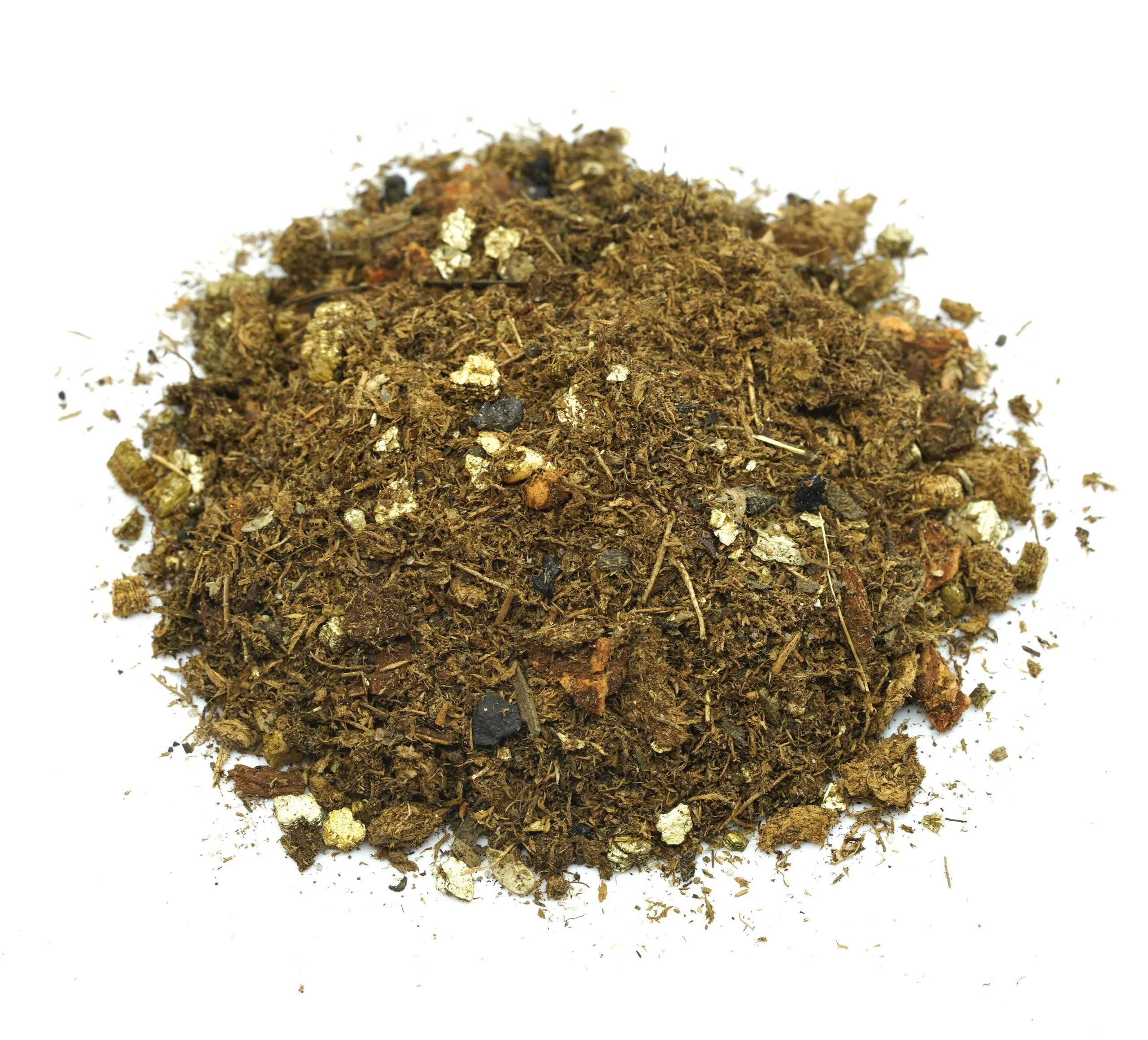 23023 red knee tarantula burrowing