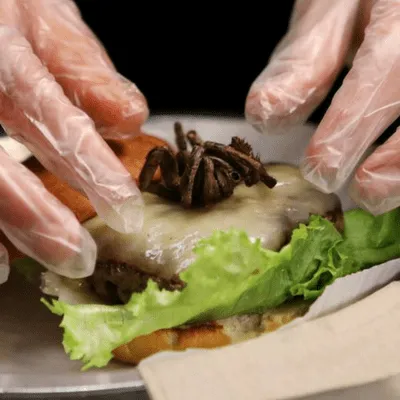 23040 tarantula burger nc image2