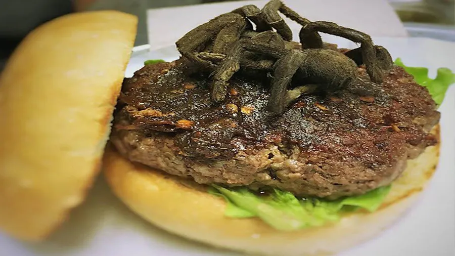 23040 tarantula burger nc image3