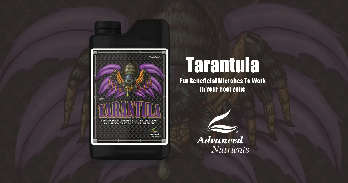 23044 advanced nutrients tarantula bottle
