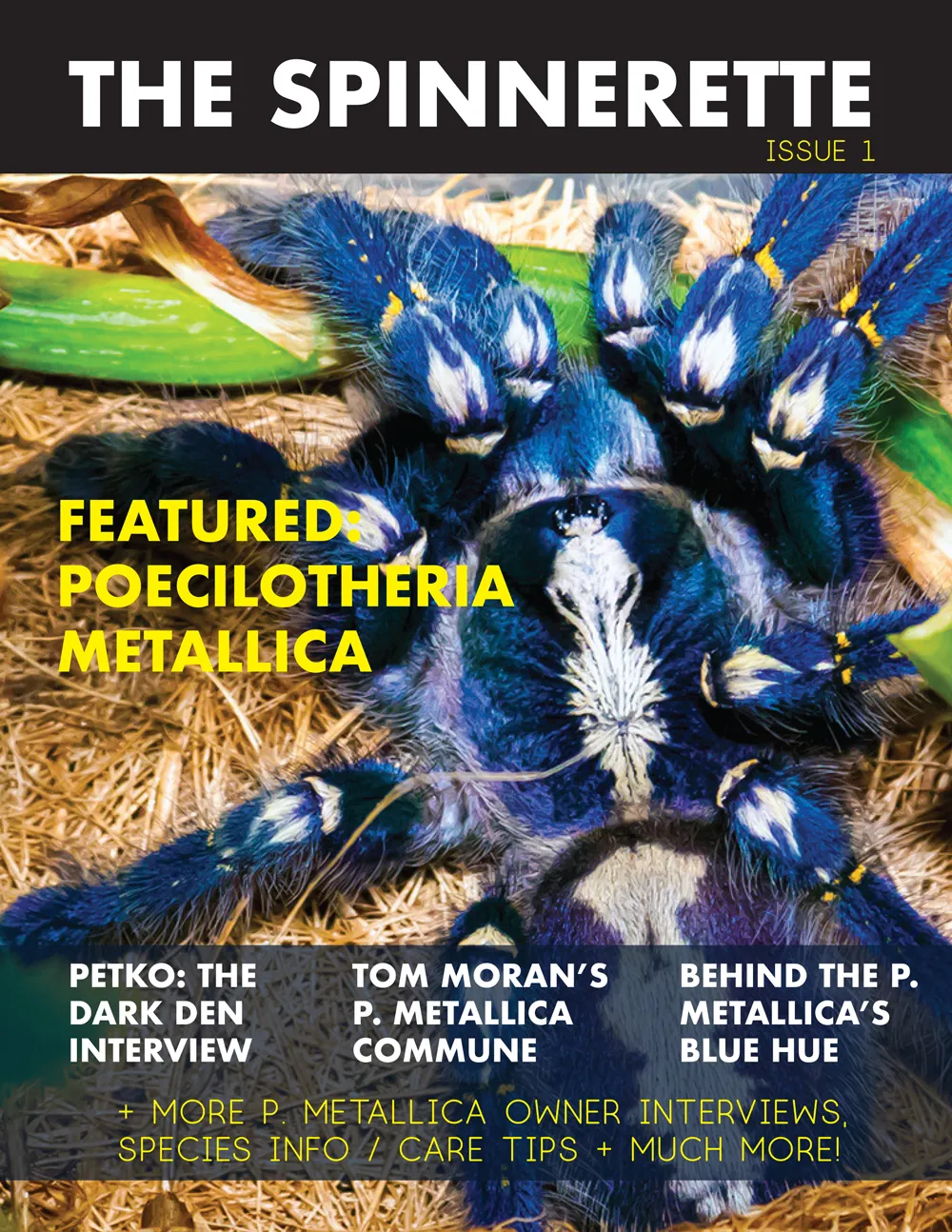 23051 tarantula substrate