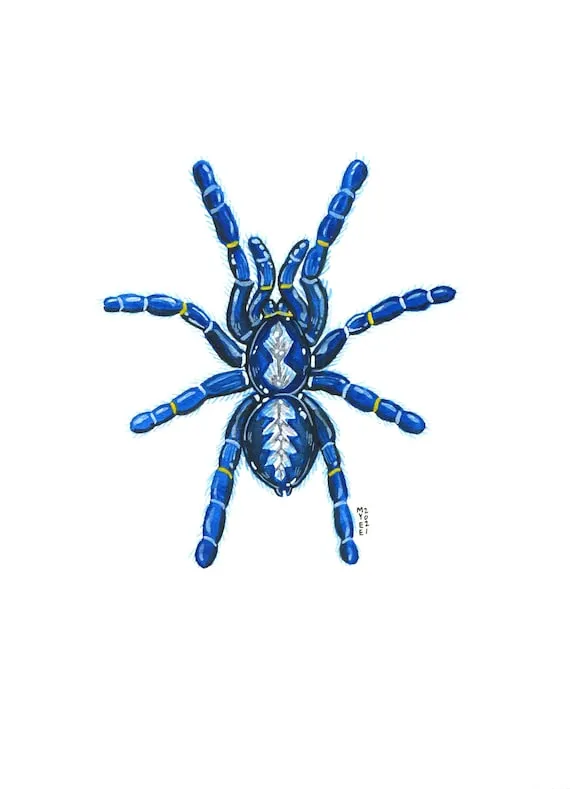 /img/23059-gooty-sapphire-tarantula-substrate.webp