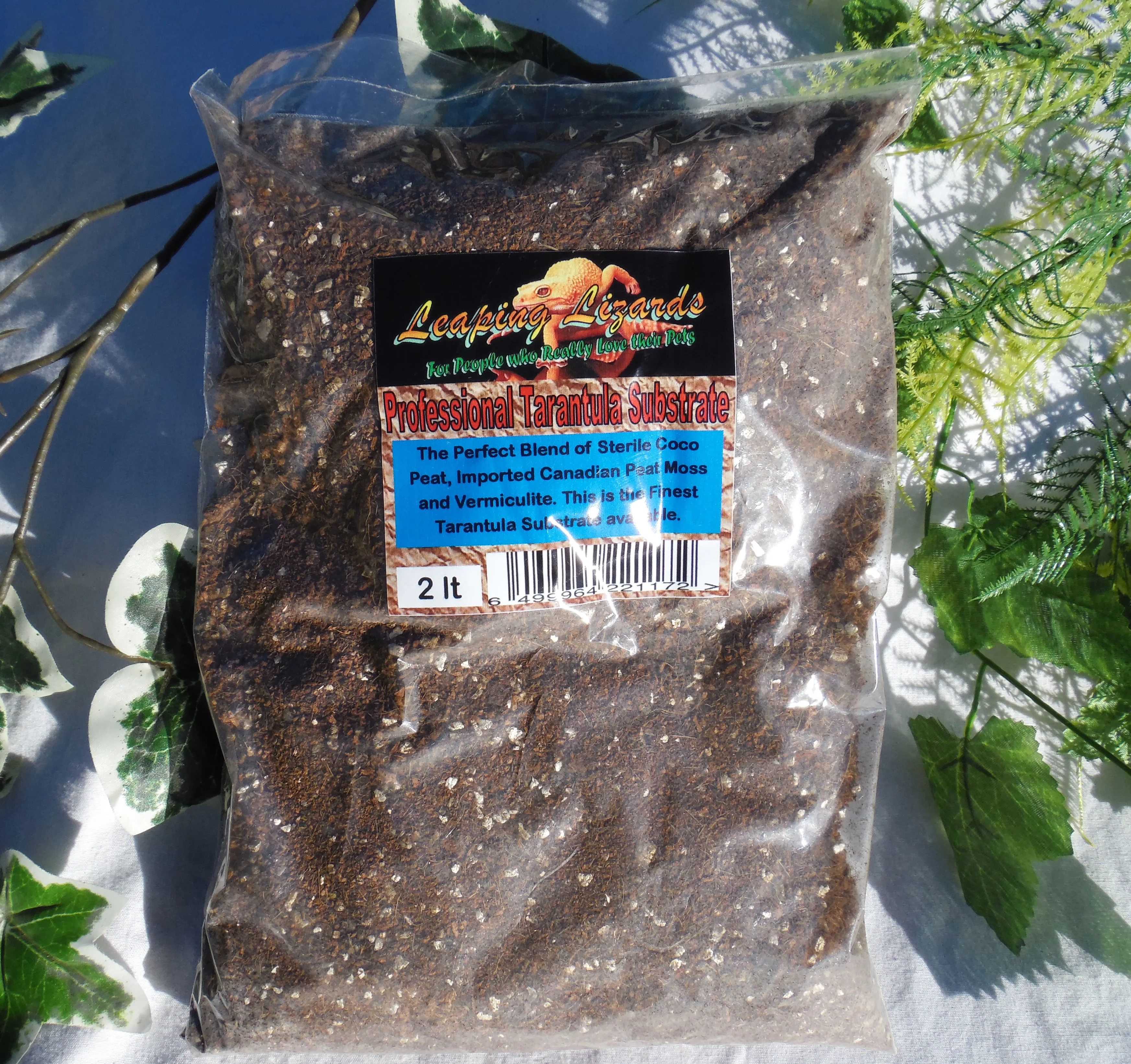 23066 fossorial tarantula burrowing