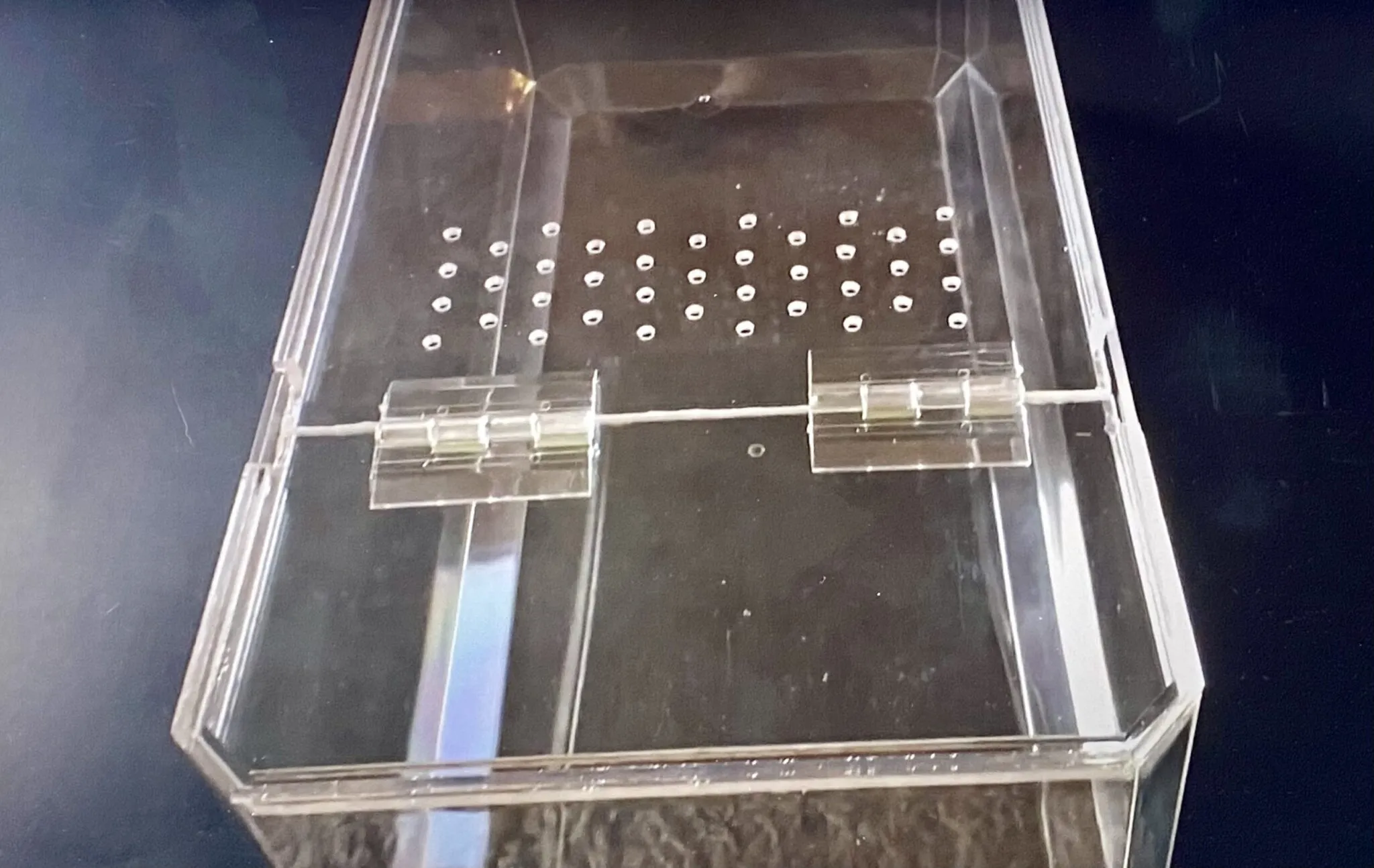 23072 tarantula enclosure setup