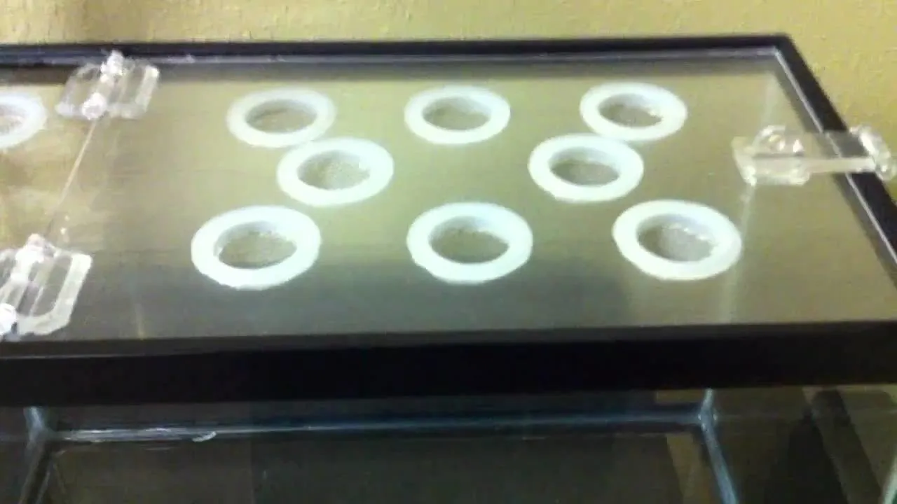 23072 tarantula substrate