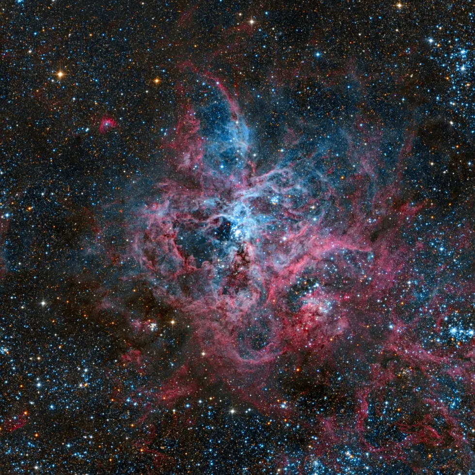 23092 tarantula nebula massive stars