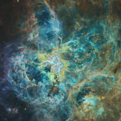 /img/23092-tarantula-nebula-research.webp
