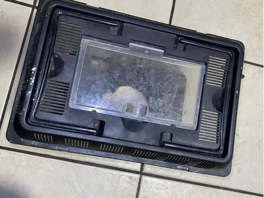 23097 tarantula handling