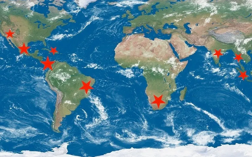 23100 tarantula habitat overview