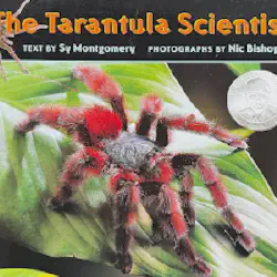 /img/23101-tarantula-field-research.webp