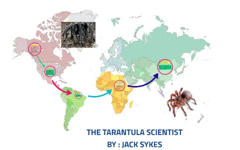 23101 tarantula habitat research