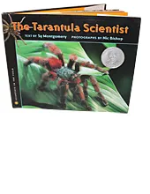 23101 tarantula scientist studying spider