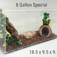 23114 etsy tarantula enclosure 2