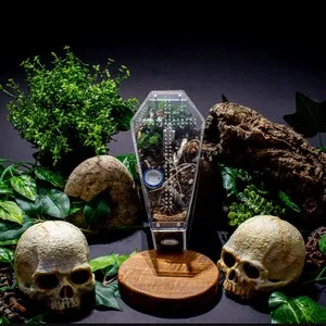 23114 tarantula glass enclosure