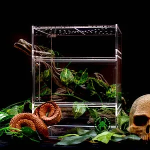 23114 tarantula ventilation example