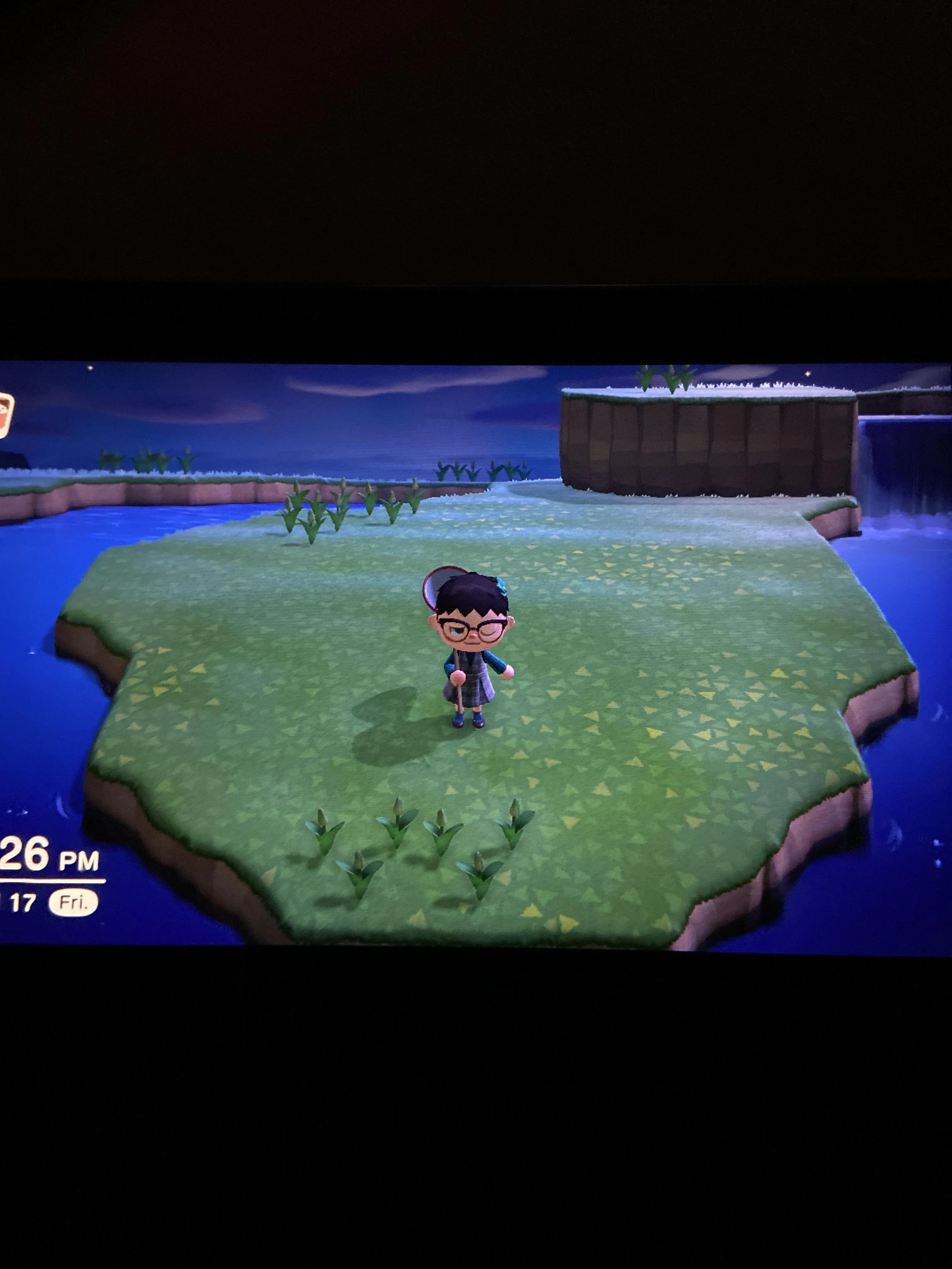 23163 animal crossing island selection