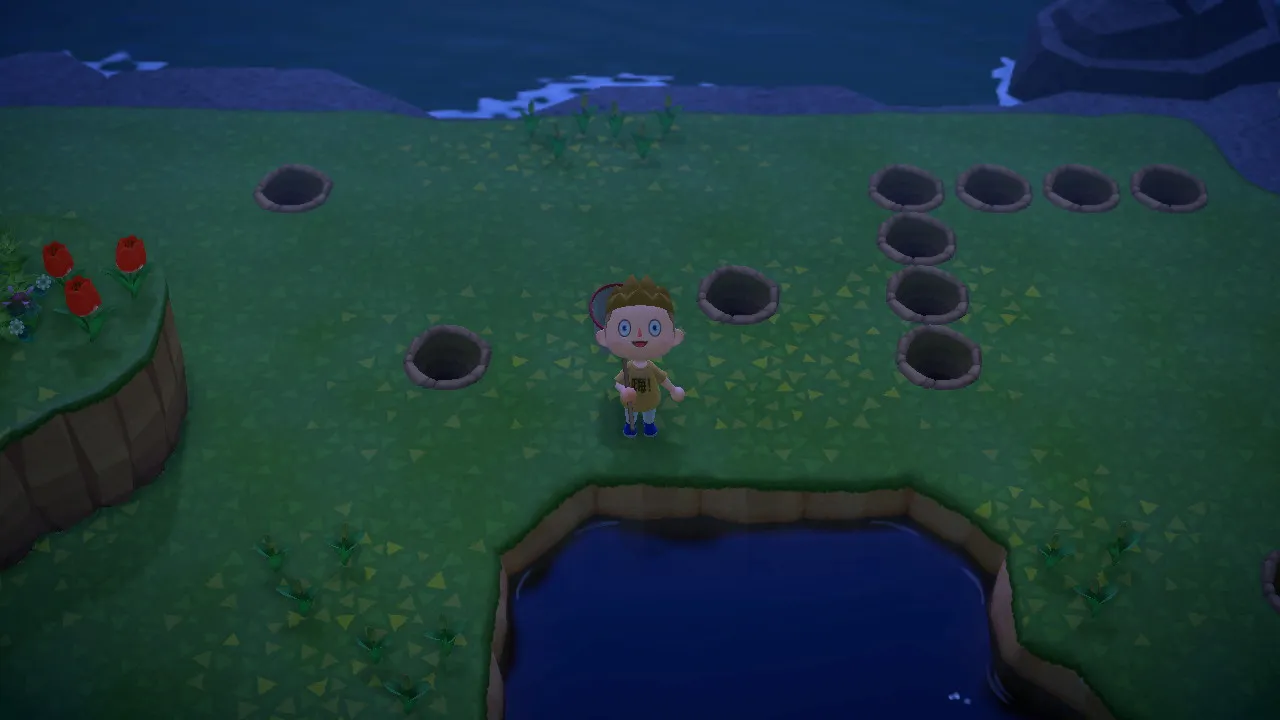 23163 tarantula farming techniques