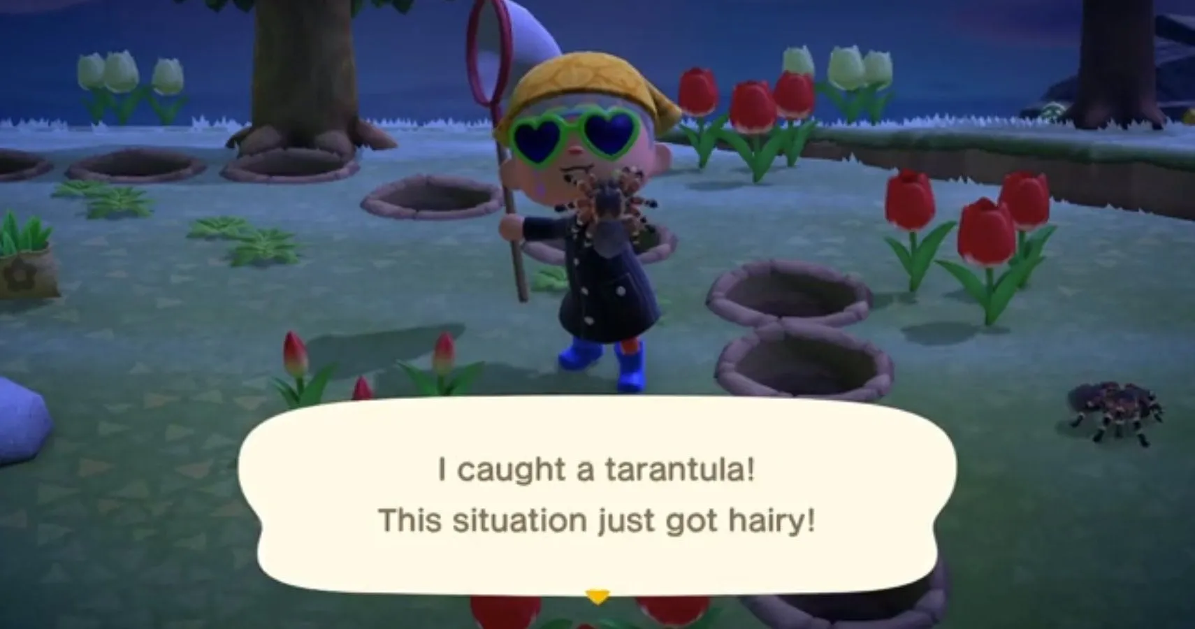 23165 animal crossing tarantula farm