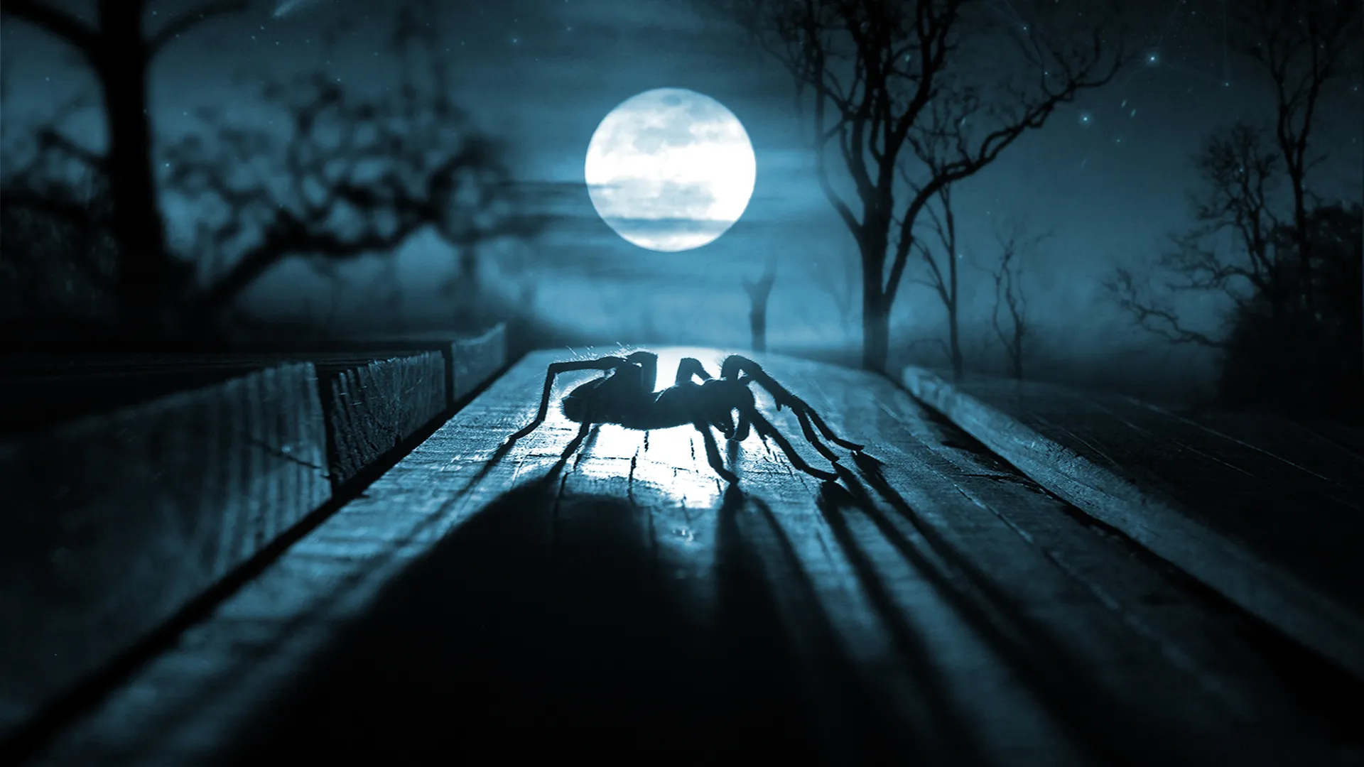 23168 texas tarantula habitat