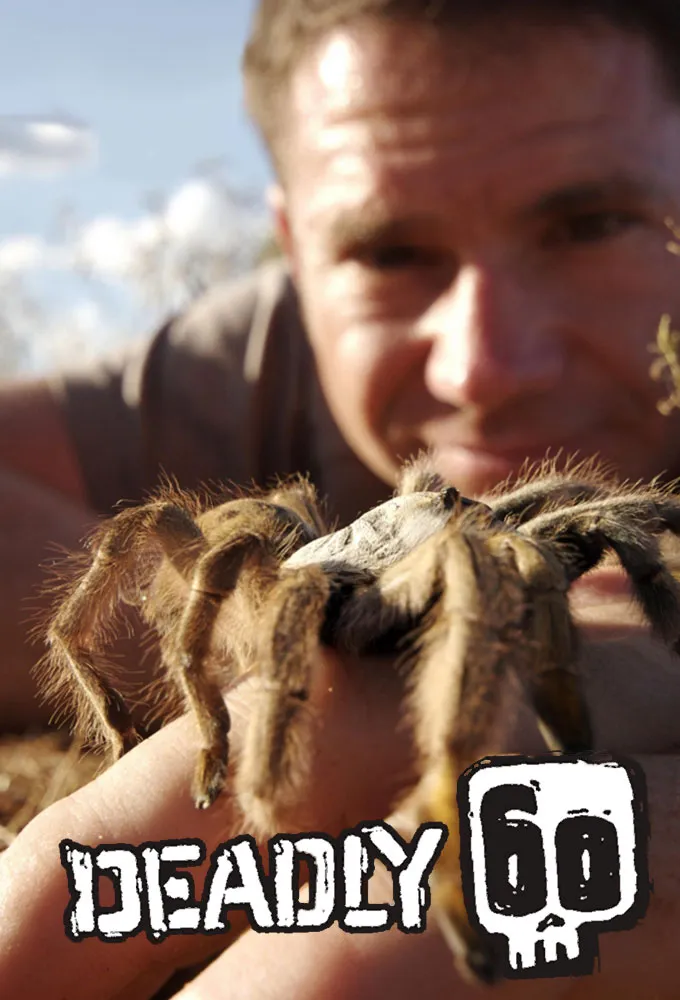 23178 tarantula habitat