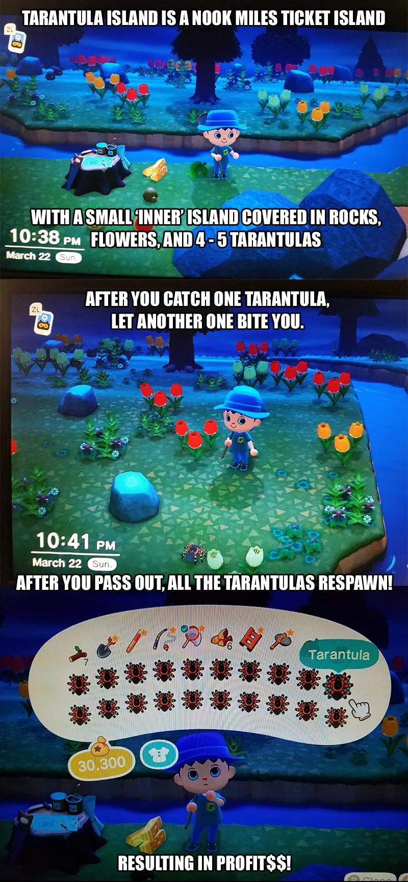 23193 animal crossing tarantula island inventory