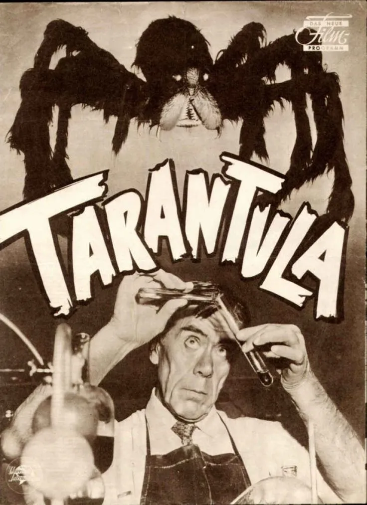 23196 tarantula defensive pose