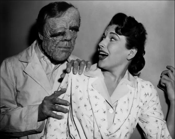 23196 tarantula eating