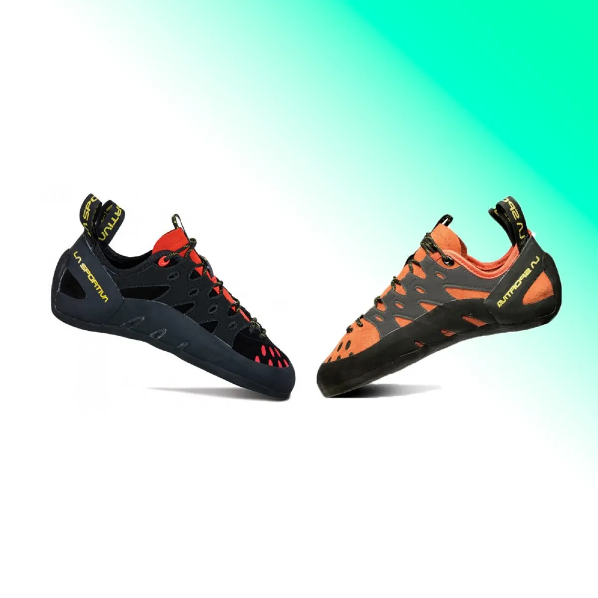 23202 tarantula womens shoe design