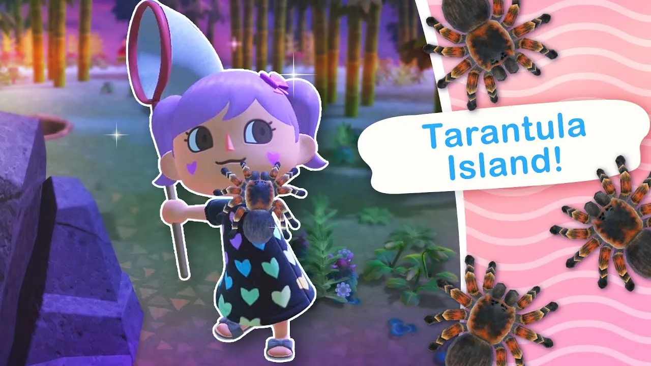 23208 cave tarantula