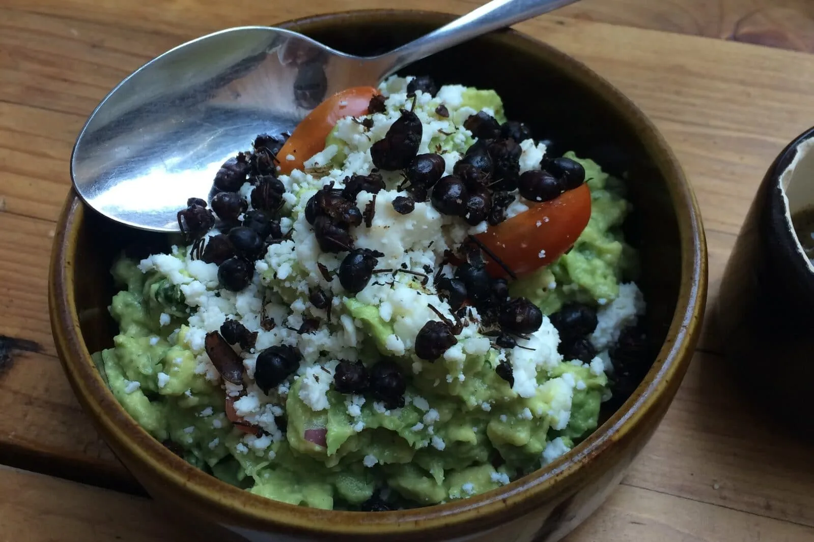 23211 old world tarantula