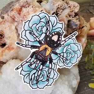 23216 tarantula size species