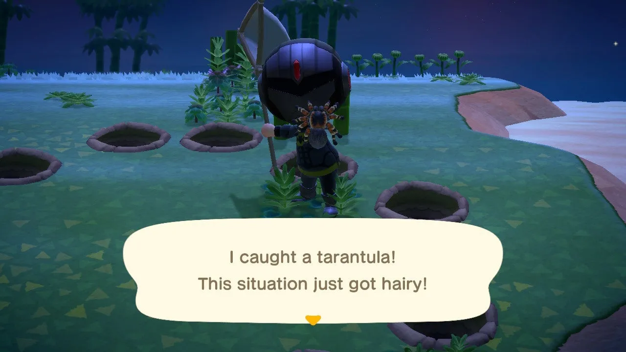 23221 animal crossing tarantula holes