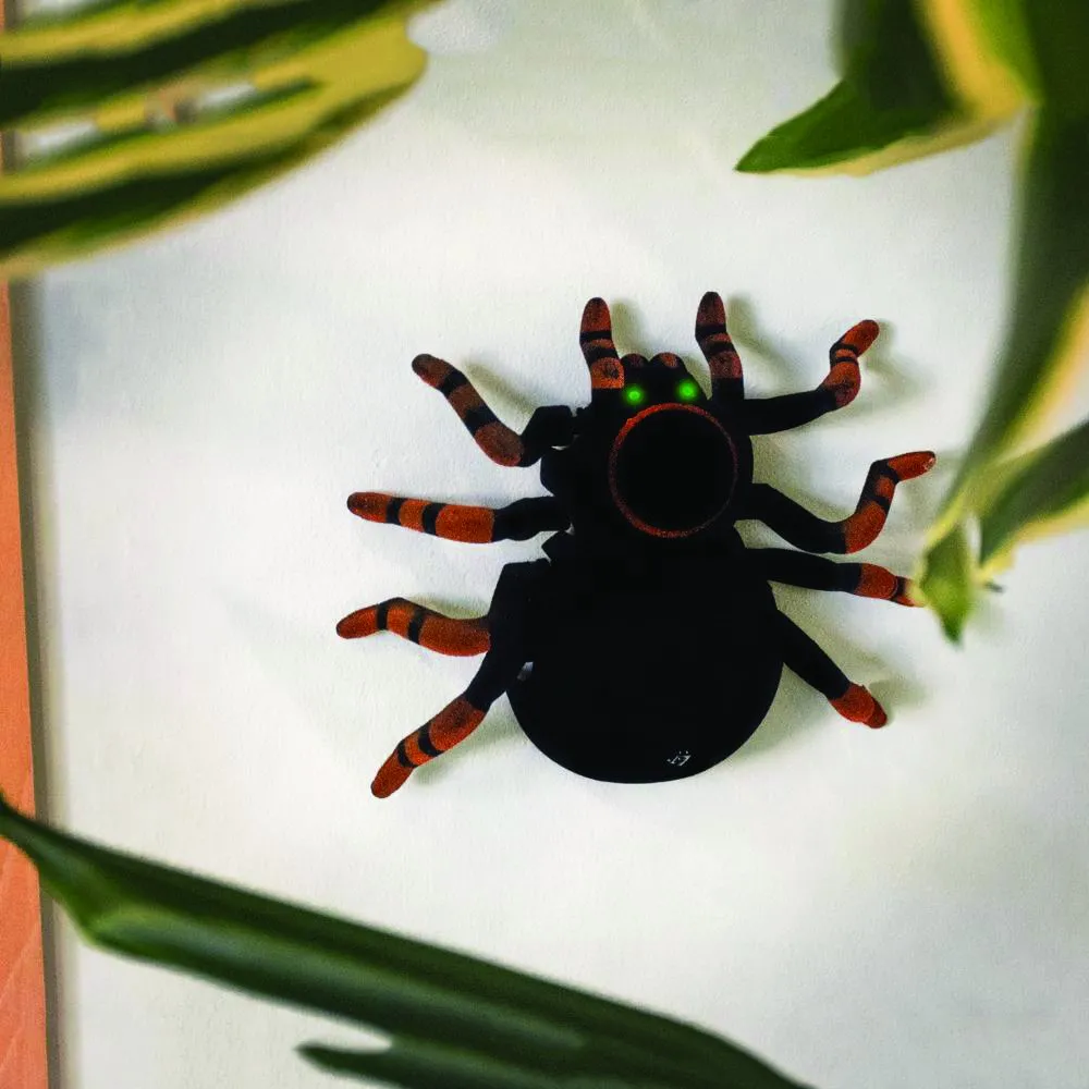 23233 tarantula climbing enclosure