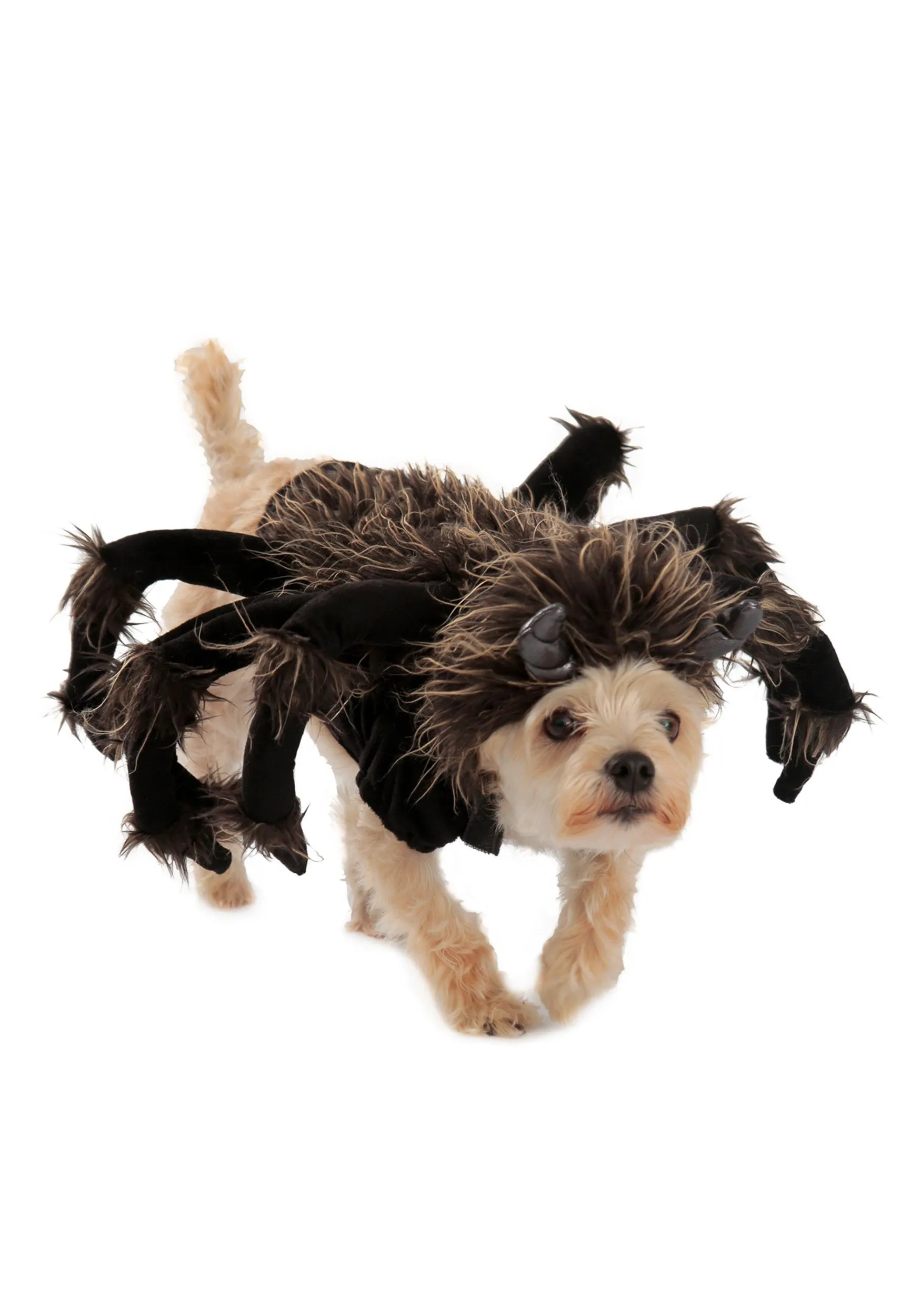 23258 dog breed tarantula costume