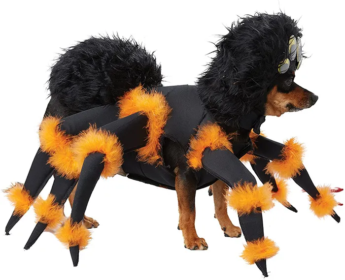 23258 dog measuring tarantula costume