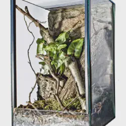 /img/23260-tarantula-enclosure-decor.webp