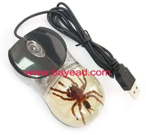 /img/23294-mouse-tarantula-health.webp