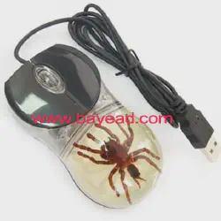 /img/23294-mouse-tarantula-health.webp