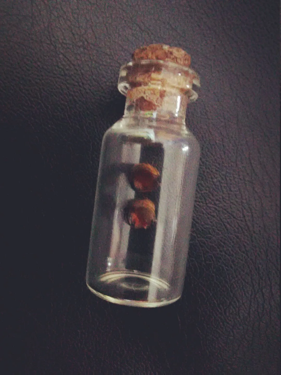 23297 tarantula bite close up