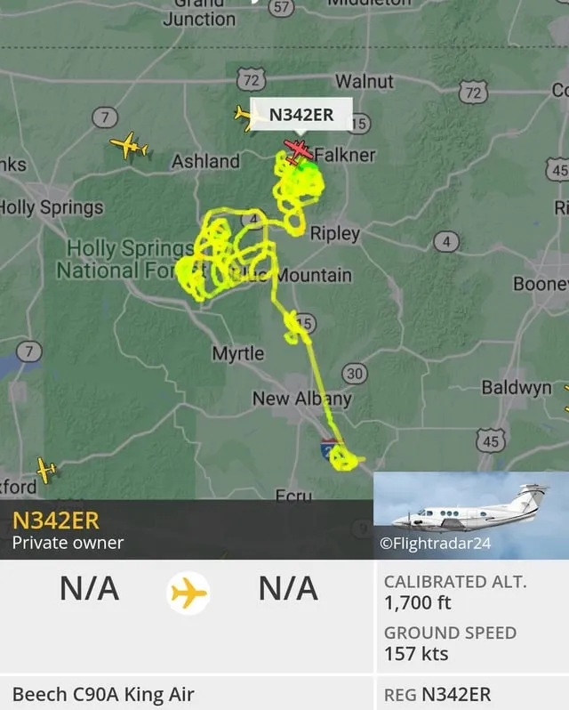 23313 polyphemus moth larva